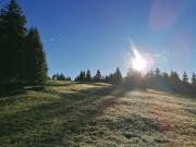 Top Miesbach