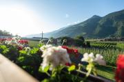 Top Castelbello-ciardes