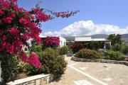 Top Kampos Paros