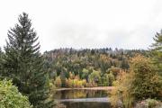 Top Wittenschwand
