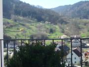 Top Weisenbach