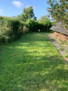 Top Friedrichskoog-Spitz