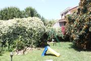 Top Riola Sardo