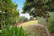 Top La Orotava