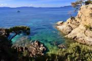 Top Le Lavandou