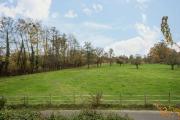 Top Eriskirch
