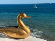 Top Vilanova i la Geltrú