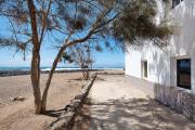 Top Cotillo