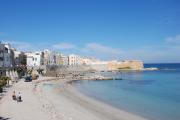 Top Trapani