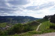 Top Baden-Baden