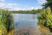 Top Lehnin