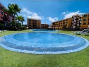 Top Palm-mar