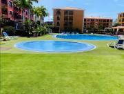 Top Palm-mar