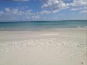 Trilocale Iris 300 mt spiaggia