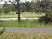 Top Sunriver
