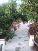 Top Frigiliana