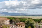Top Foiano della Chiana