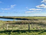 Top Westerhever