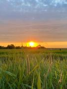Top Westerhever