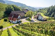 Top Oberkirch