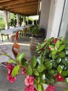 Top Monforte dʼAlba