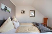 Top Sallneck