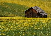 Top San Vigilio Di Marebbe