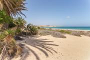Top Costa Calma