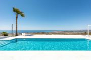 Top Algarrobo