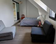 Top Vains