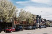 Top Libertyville