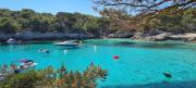 Top Punta Grossa