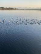 Top Quartu SantʼElena