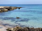 Top Mola di Bari