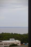 Top Manaus