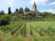 Top Lavagna