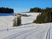 Top Titisee-Neustadt