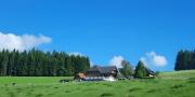 Top Titisee-Neustadt