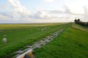 Top Nordstrand