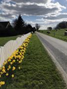 Top Nordstrand