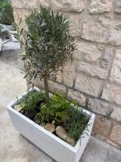 Top Trogir