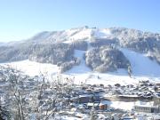 Chalet Arnica
