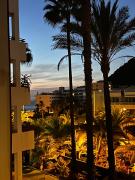 Top Palm-mar