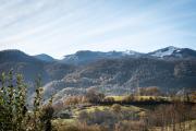 Top Peyrouse