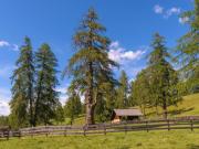 Top San Genesio Atesino