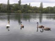 Top Breisach am Rhein