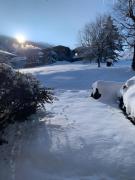 Appt de montagne Araches