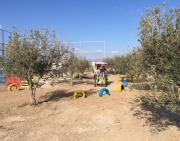 Top Puerto Lumbreras