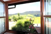 Top Oberharmersbach