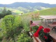 Top Oberharmersbach